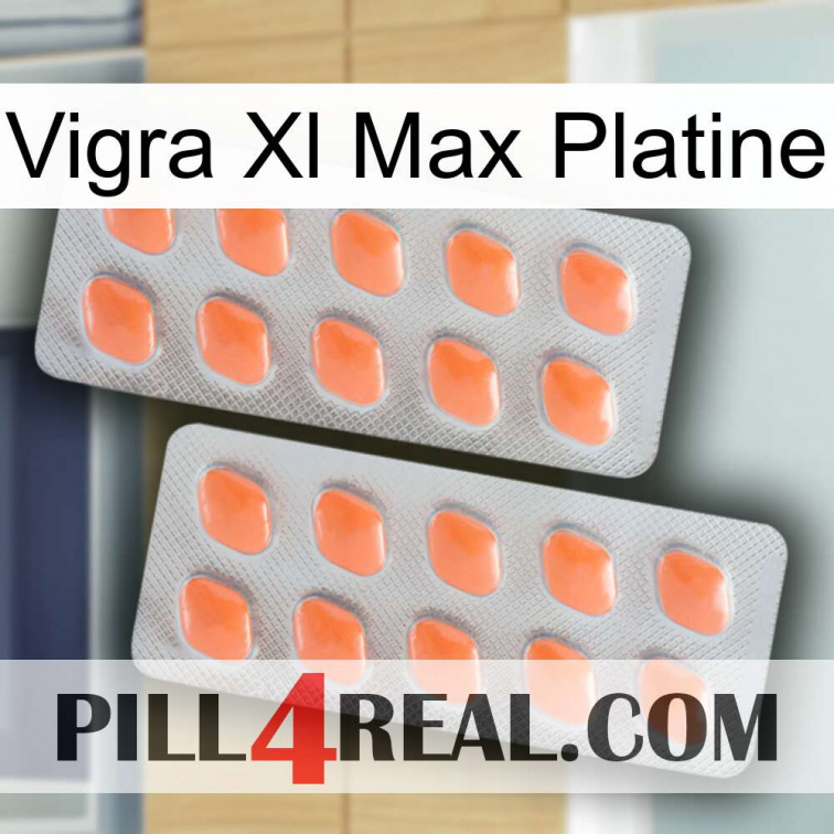Vigra Xl Max Platinum 27
